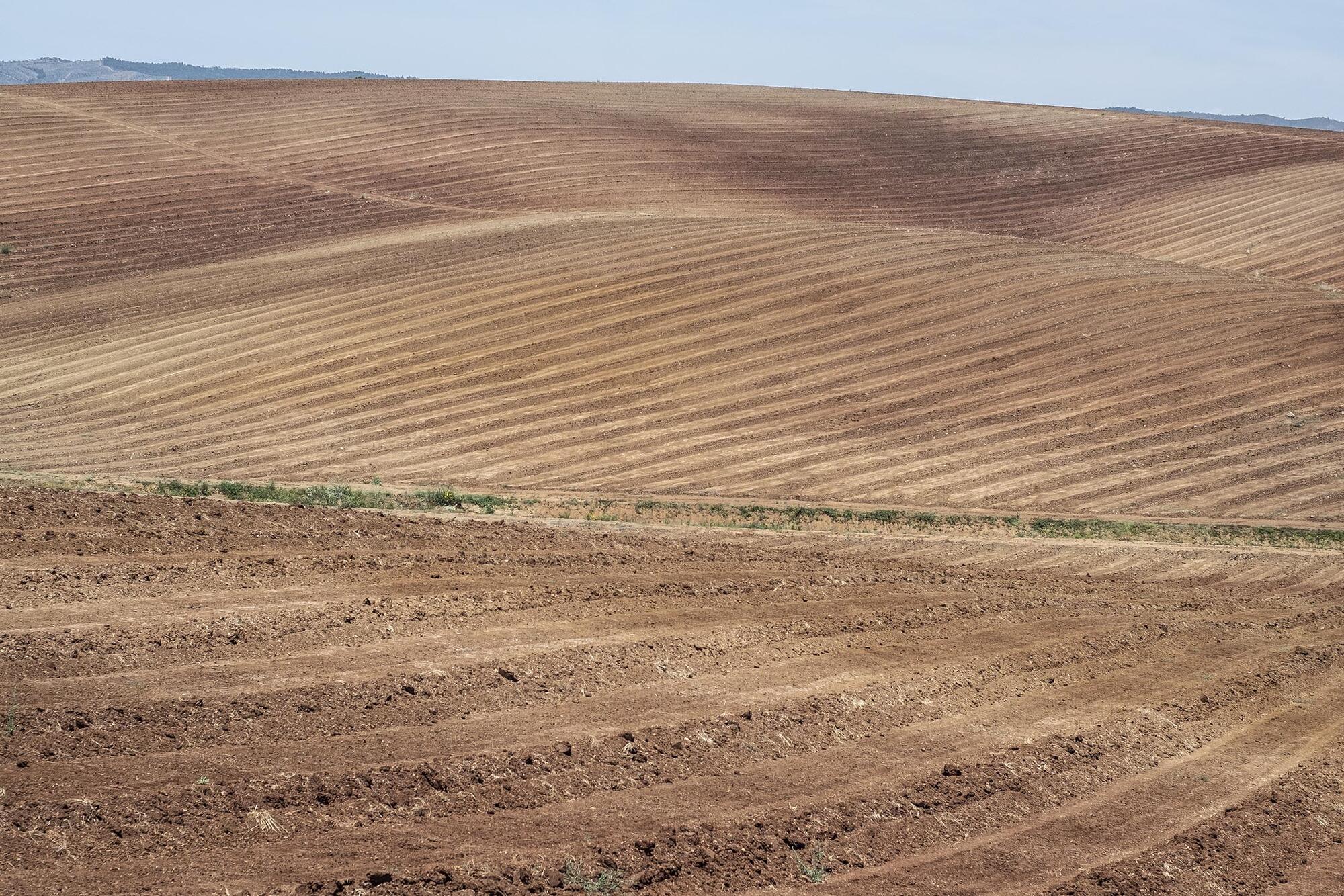 Olivares Alentejo - 2